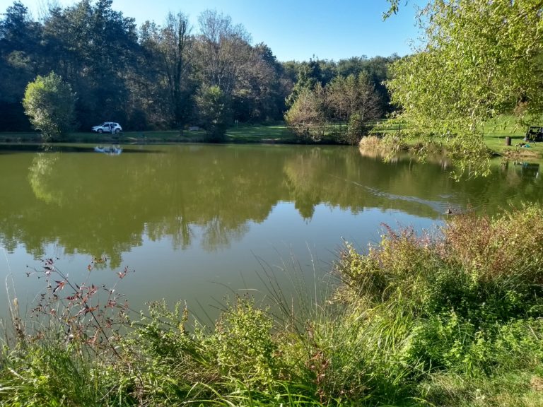 IMG_20211014_155356516_HDR