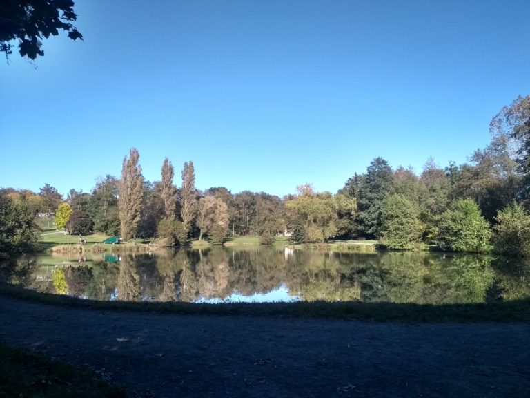 IMG_20211014_155715714_HDR